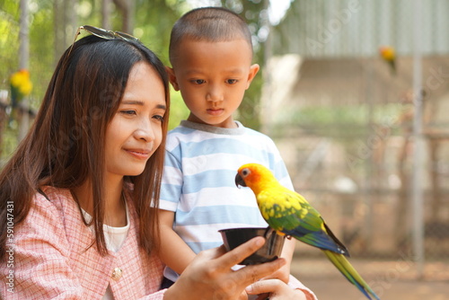 mother and son feeding birds on holiday photo