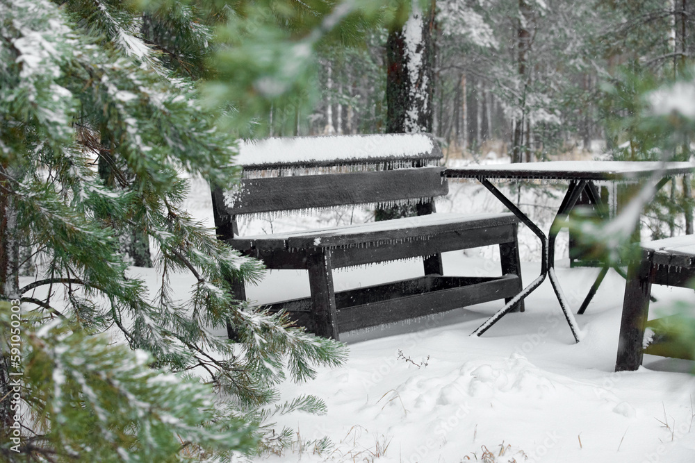 The snow and ice covered benches and a table in the winter park. Coniferous trees grow around. Winter atmosphere concept