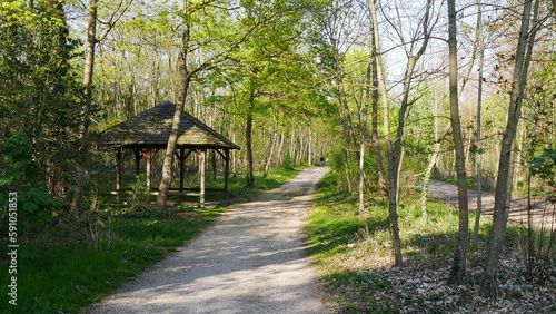 Grande plaine de verdure dans une zone foresti  re  avec une construction   cologique et tout en bois pour se mettre    l abri du soleil ou dans l ombre  sur un gazon bien entretenu  presque personne