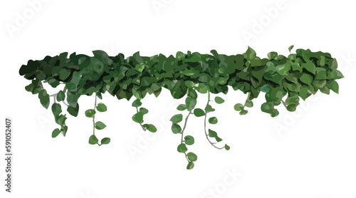 Vector watercolor of green tree top view isolated on white background for landscape layout plan and architecture drawing, elements for environment and garden,blooming botanical elements