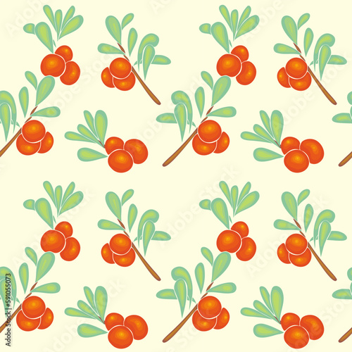 Pattern with branches and berries of cranberries, lingonberries, hand drawing, no outline. Vector illustration