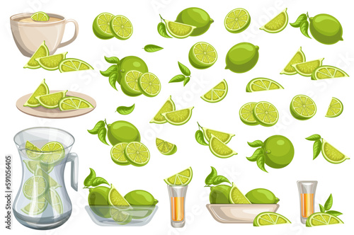 Vector image of a set of limes in different combinations. Cartoon style. EPS 10