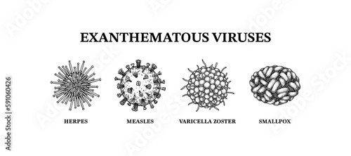 Exanthematous viruses. Hand drawn set of microorganisms. Scientific vector illustration in sketch style.