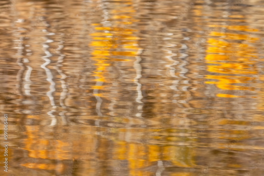 Artistic view of reflections of the fall foliage on the water surface - perfect wallpaper Artistic view of reflections of the fall foliage on the water surface - perfect wallpaper