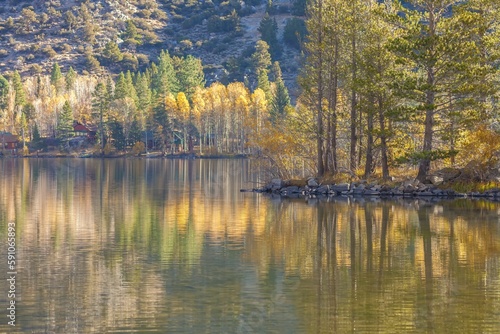 Trees reflect on the surface of June Lake in California, the United States