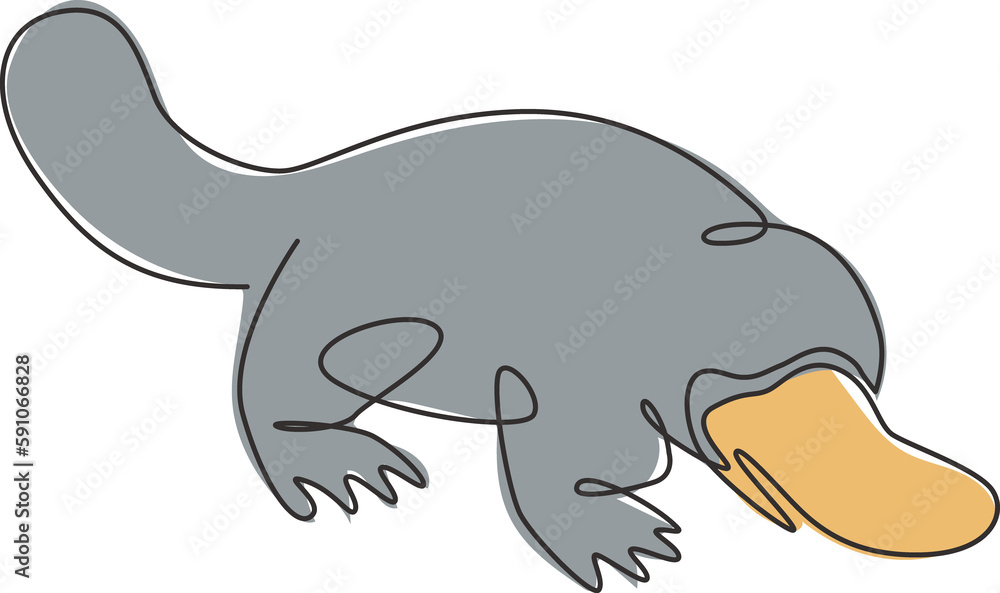 One continuous line drawing of cute platypus for logo identity. Australian mammal animal mascot concept for national conservation park icon. Modern single line graphic draw design vector illustration One continuous line drawing of cute platypus for logo identity. Australian mammal animal mascot concept for national conservation park icon. Modern single line graphic draw design vector illustration