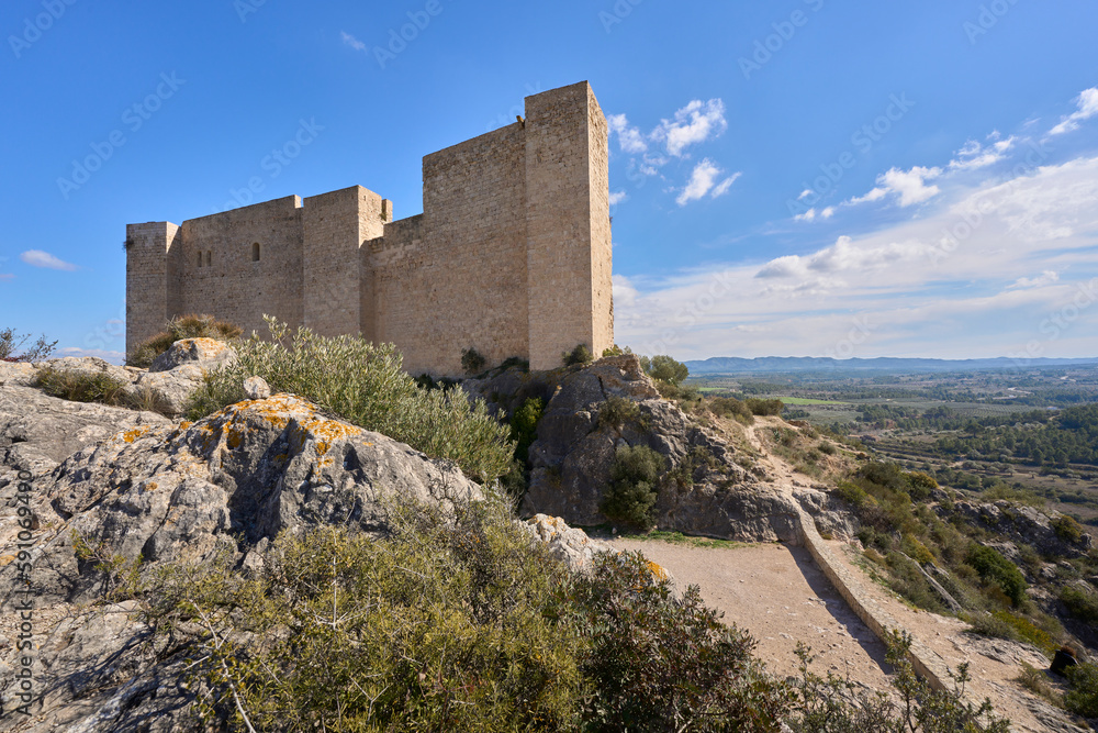 Village and knights templar castle of Miravet at the banks of river Ebro in Catalonia, Spain
