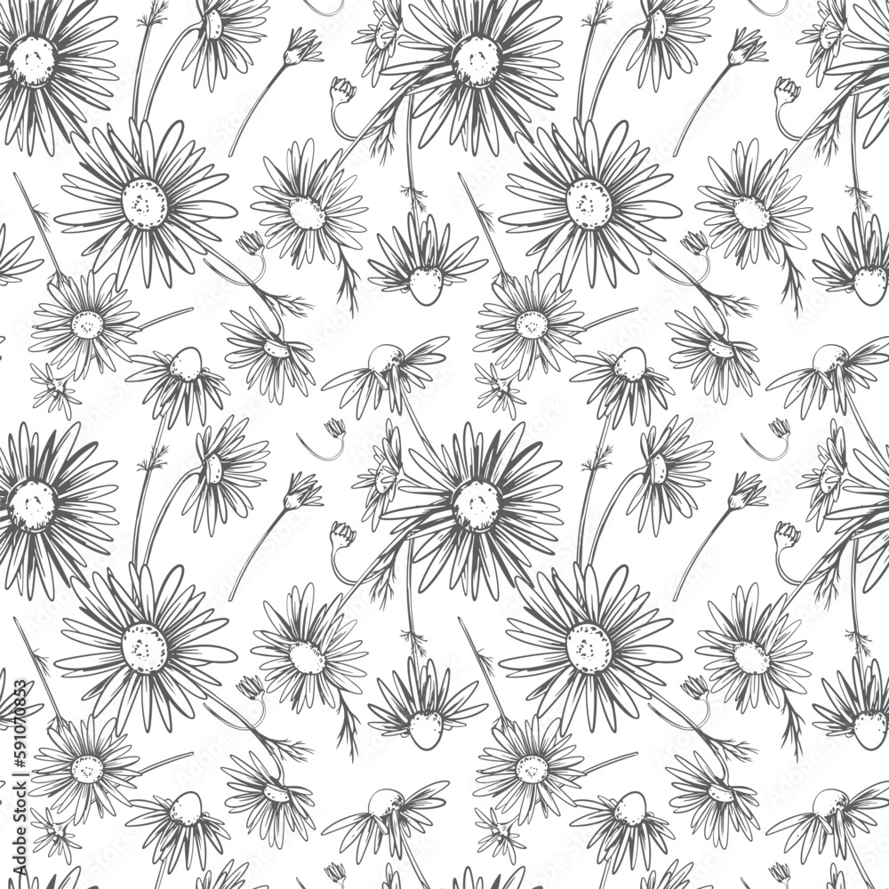 custom made wallpaper toronto digitalDaisies on white background, seamless pattern. Wildflowers in line design, vector. Clipart of textile, wallpaper, packaging.