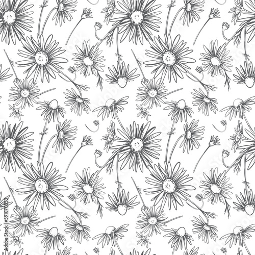 Wallpaper Mural Daisies on white background, seamless pattern. Wildflowers in line design, vector. Clipart of textile, wallpaper, packaging. Torontodigital.ca
