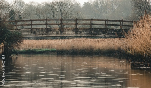 Closeup shot of a wooden bridge over a lake in a forest