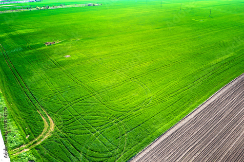 Aerial shot of fields with a tractor traces on the green agricultural field.