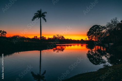 Landscape of a gulf surrounded by trees during a beautiful sunset in St. Petersburg, Florida