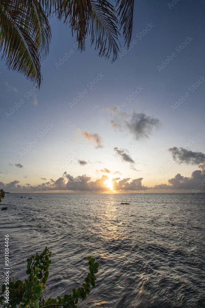 coast kenya mombasa, sunrise at sea. Indian ocean at sunrise, palm trees and a view to the horizon. Beautiful morning at the beach