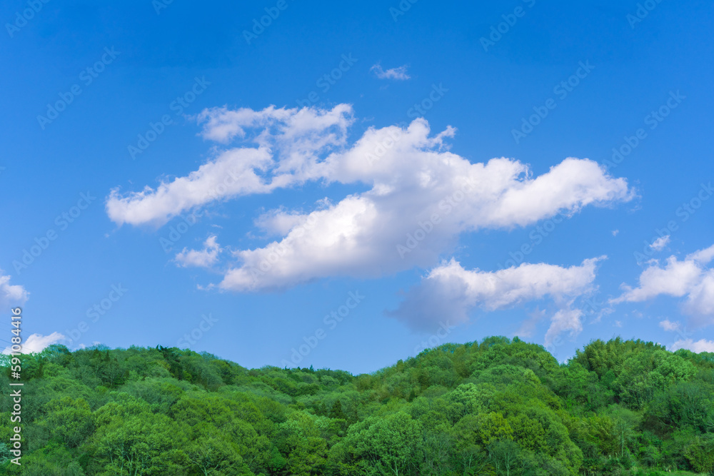 青空に浮かぶ雲の写真