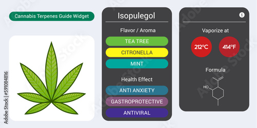 Cannabis Terpene Guide Information Chart. Aroma and Flavor with Health Benefits and Vaporize Temperature. Vector.