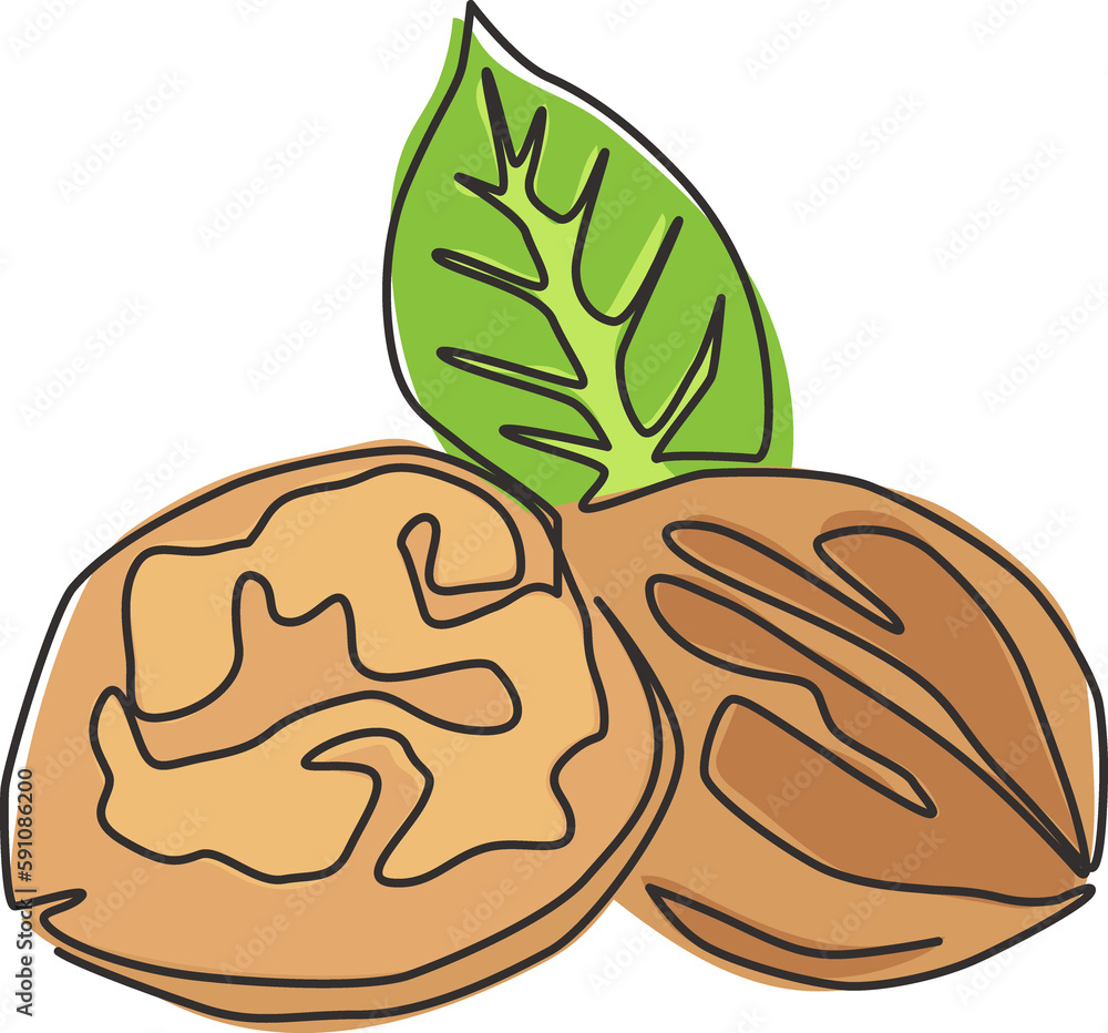 Single continuous line drawing whole healthy organic walnut and leaves ...