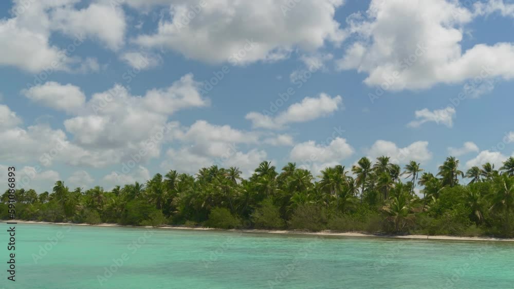 Tropical island shore with palm trees. Palm trees on the shore of the blue sea. View from the ocean to the island with palm trees. Wildlife on a tropical island Tropical island shore with palm trees. Palm trees on the shore of the blue sea. View from the ocean to the island with palm trees. Wildlife on a tropical island