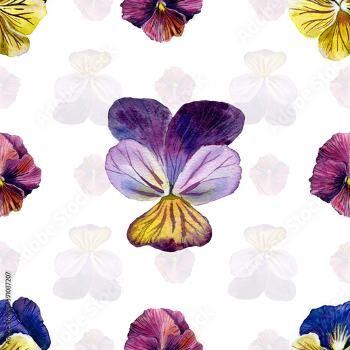 Pttern of colored pansies. watercolor illustration. for textiles  clothing  holiday decoration.
