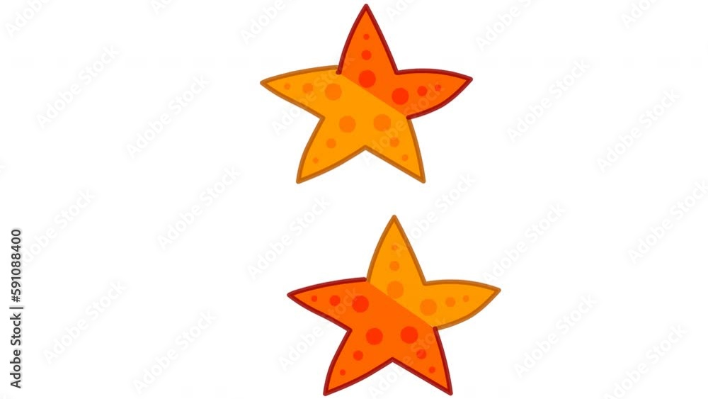 Starfish, sea star regeneration animation. Asexual reproduction