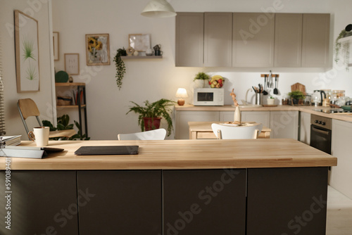 Horizontal image of modern domestic kitchen with big table and other kitchen utensils © Mediaphotos