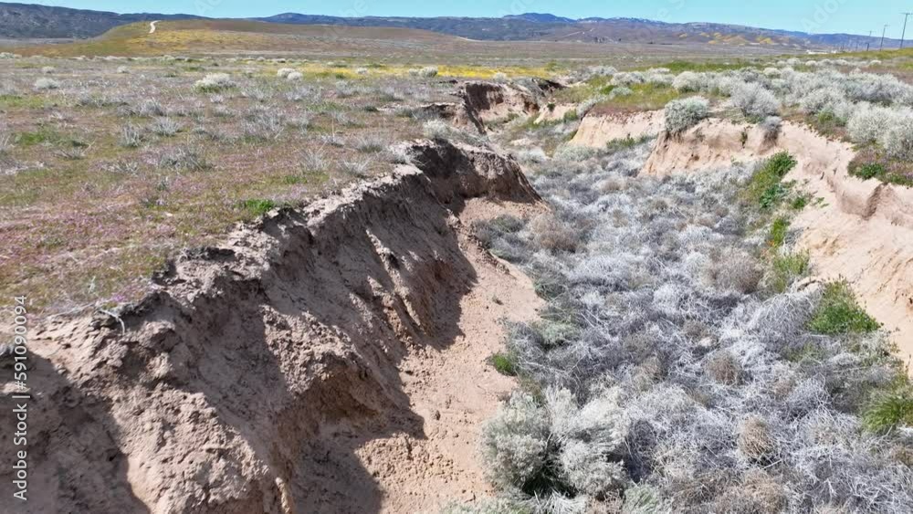 Dolly through a desert arroyo, then up and over a field of yellow wild flowers. Antelope Valley, CA Drone 4k. Dolly through a desert arroyo, then up and over a field of yellow wild flowers. Antelope Valley, CA Drone 4k.