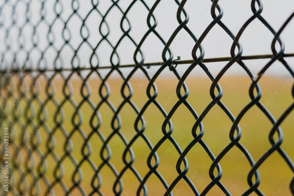 Fototapeta premium Mesh fence, close up, 