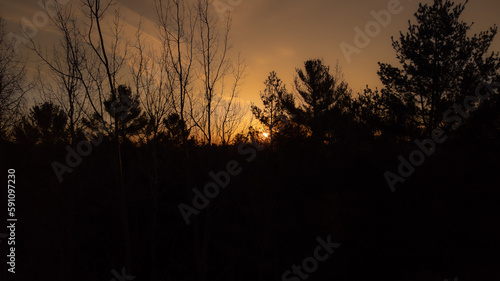 Beautiful sunrise through the Canadian boreal forest in the spring  on an April morning