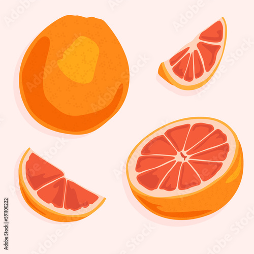 A set of a whole grapefruit, its half and segments with pulp. Healthy fruits and natural products. Food icons.