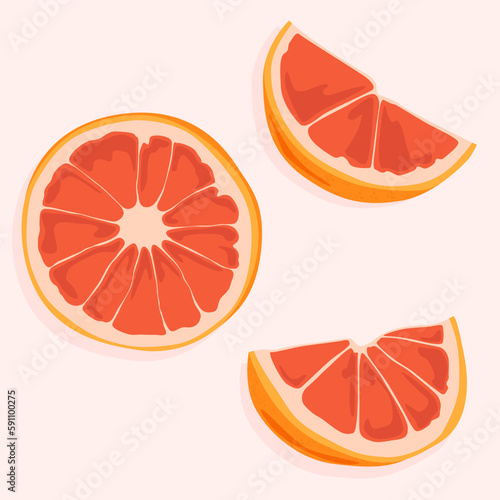 Round cut of a grapefruit and its segments. Healthy fruits and natural products. Food icons.