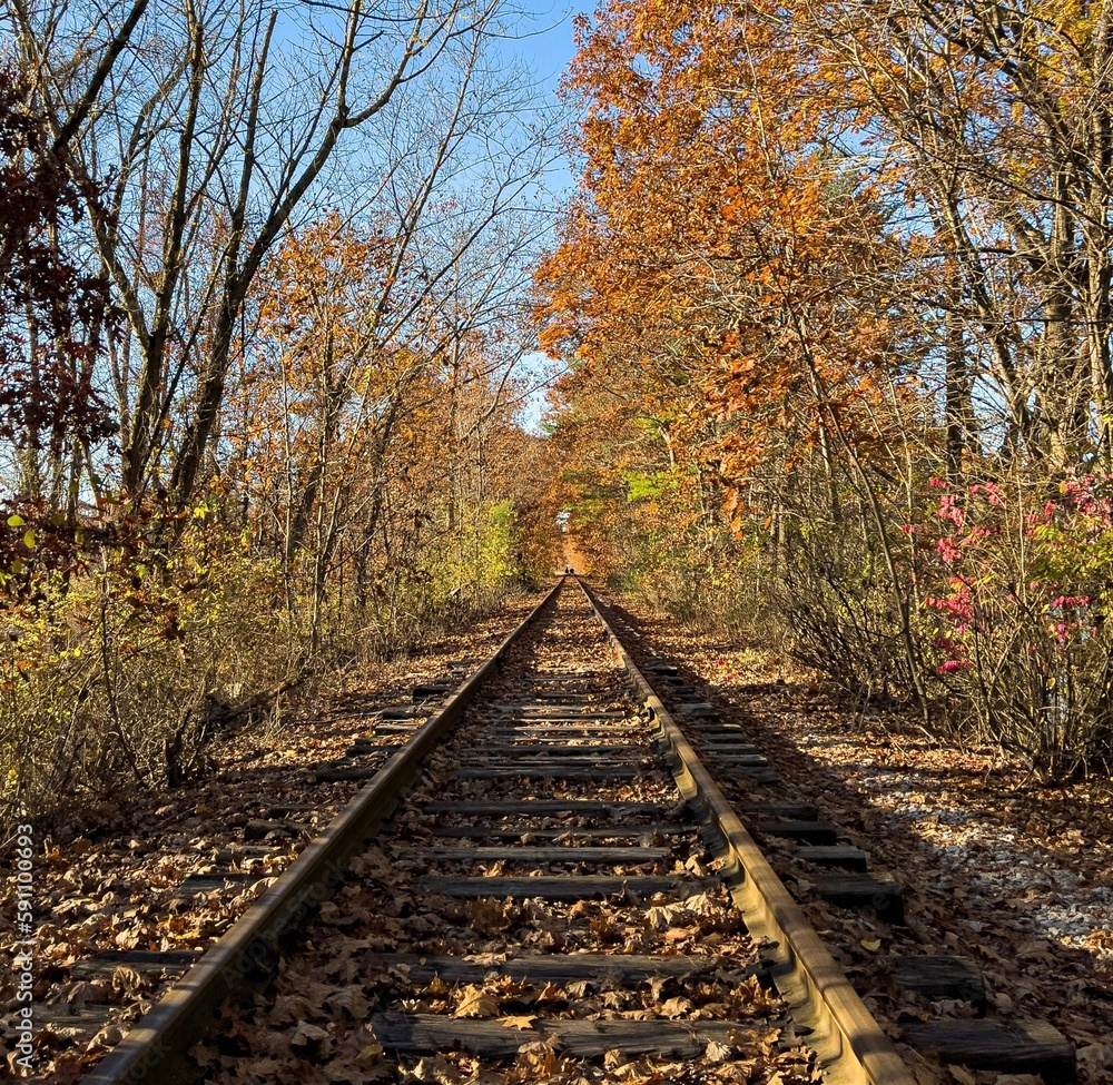 Empty railroad surrounded by autumn trees and bushes Empty railroad surrounded by autumn trees and bushes
