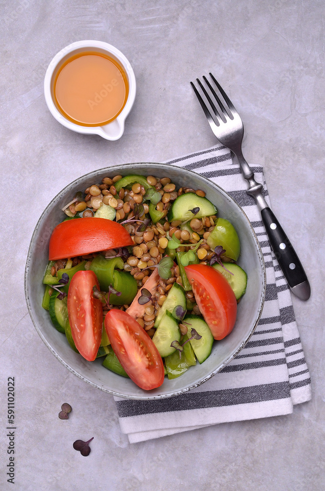 Salad slices of raw vegetables with lentils Salad slices of raw vegetables with lentils