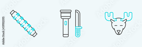 Set line Moose head with horns, Hunting cartridge belt cartridges and Flashlight and knife icon. Vector
