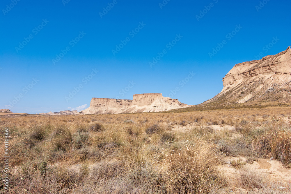 landscape in the desert