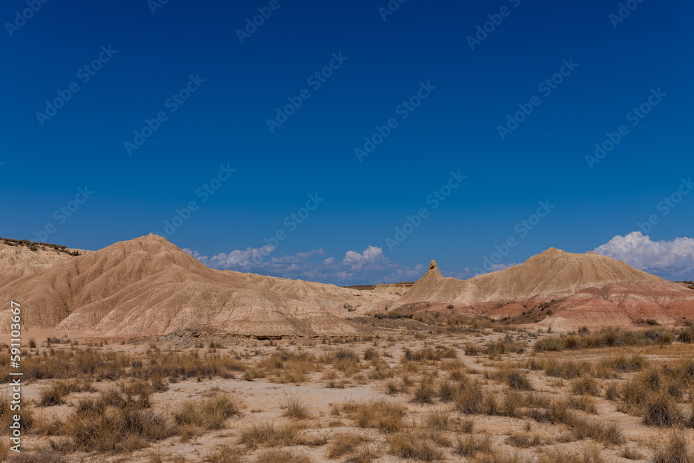 landscape in the desert