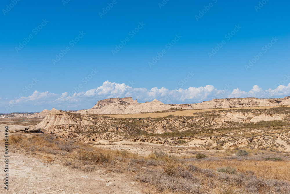 landscape in the desert