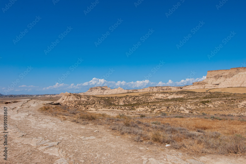 landscape in the desert