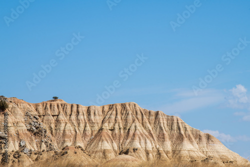 landscape in the desert