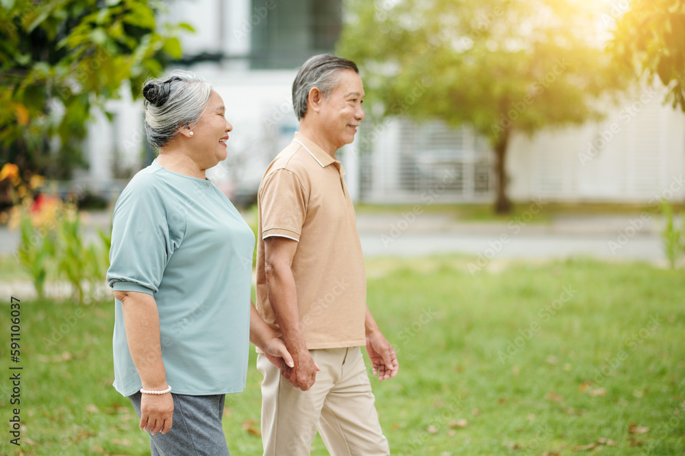Happy senior couple holding hands when walking in park oon sunny day Happy senior couple holding hands when walking in park oon sunny day