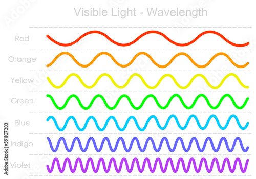 Colors wavelength range, long, short line waves. Red, yellow, green, blue, violet, color light frequency, rainbow. Visible electromagnetic spectrum diagram. Ultraviolet to infrared radiation. Vector photo