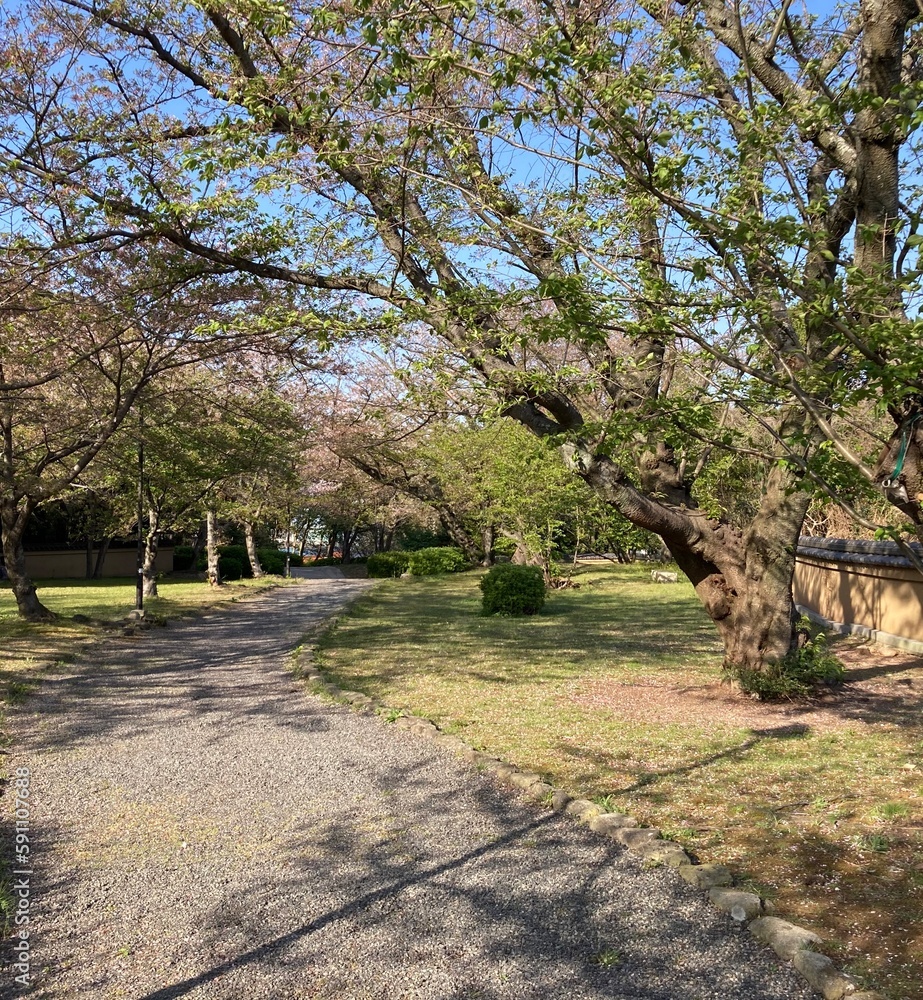 spring in the park spring in the park
