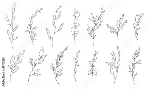 Minimal trendy elements of wild and garden plants, branches, leaves, flowers. Hand drawn thin floral botanical line art. Vector greenery illustration for logo or tattoo, invitation save the date card