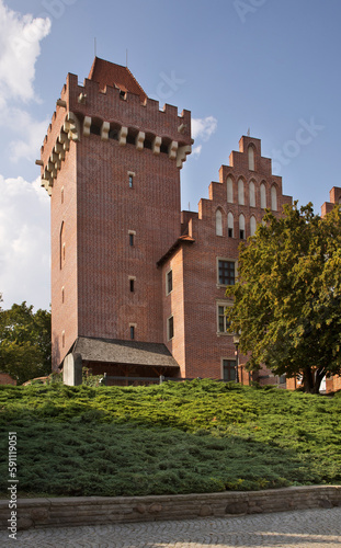  Castle in Poznan. Poland