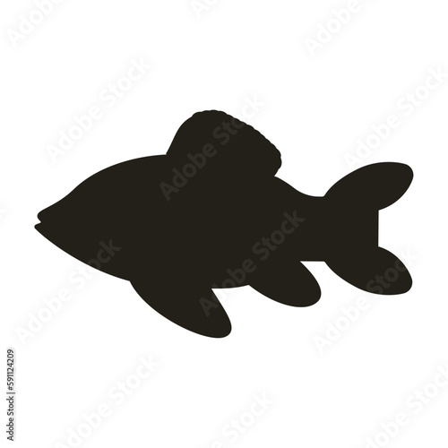 Fish crucian carp silhouette