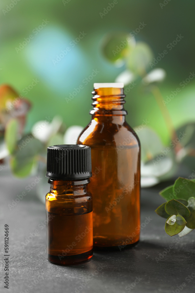 Bottles of eucalyptus essential oil and plant branches on grey table Bottles of eucalyptus essential oil and plant branches on grey table