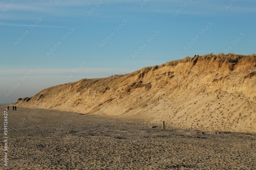 Sanddüne auf Texel