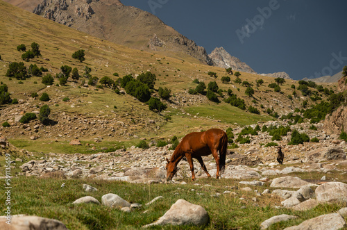 Vast mountain pastures in the Turkestan Range of Kyrgyzstan.