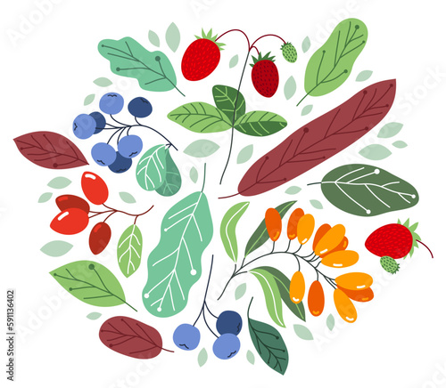 Wild berries fresh and ripe tasty healthy food with leaves vector flat style illustration isolated over white, delicious vegetation diet eating, nature gifts.