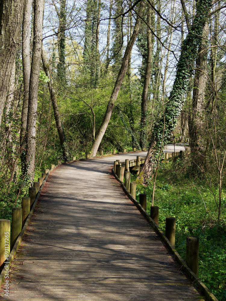 Marsh boardwalk in 