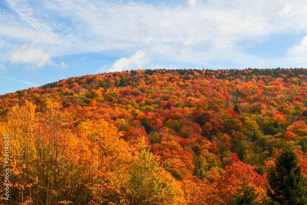The Highland Scenic Highway is a designated National Scenic Byway 