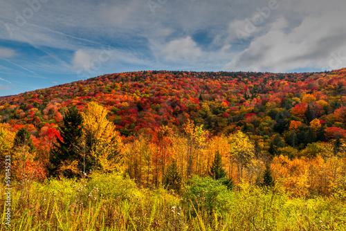 The Highland Scenic Highway is a designated National Scenic Byway t